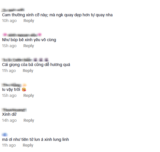 Thiều Bảo Trâm bị fan quay trúng 