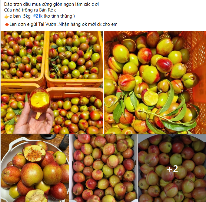 Xin thông báo: Loại quả giàu chất chống oxy hóa đang vào 