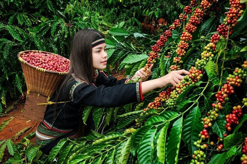 Từ hôm nay, thành phố có nhiều tên gọi nhất Việt Nam chính thức dừng hoạt động- Ảnh 4.