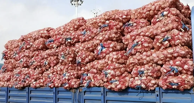 Thương lái chi 6 tỷ đồng mua 500 tấn tỏi gửi kho lạnh chờ bán, 1 năm sau chết lặng khi kho rỗng không, quản lý khẳng định: "Không có hóa đơn xuất kho"- Ảnh 2.