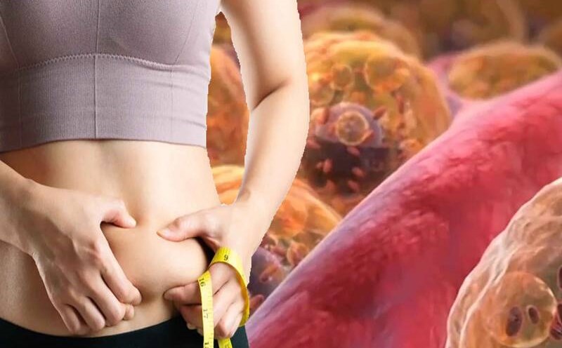 Người Việt có 1 loại rau giảm mỡ nội tạng đứng hàng tiên phong, thế giới nức nở khen vì siêu giàu dinh dưỡng, rất lợi cho phụ  nữ- Ảnh 3.