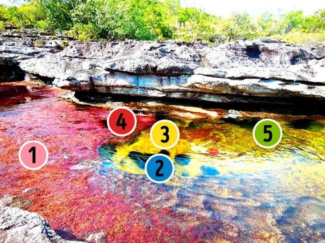 6 bí ẩn quá kỳ quặc ngay trên Trái đất khiến các nhà khoa học giỏi nhất cũng đau đầu, điều số 2 phi thường đến khó tin- Ảnh 6. 6 bí ẩn quá kỳ quặc ngay trên Trái đất khiến các nhà khoa học giỏi nhất cũng đau đầu, điều số 2 phi thường đến khó tin- Ảnh 6.