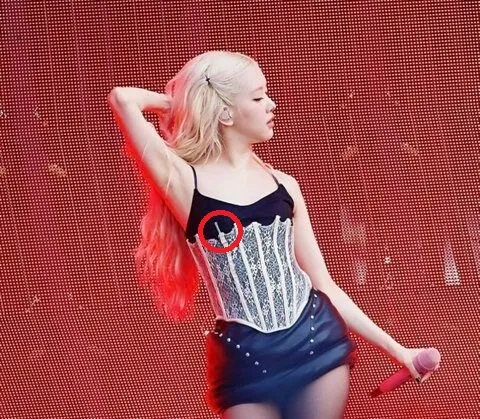 Lisa (BLACKPINK) bị chê mặc phản cảm- Ảnh 3. Lisa (BLACKPINK) bị chê mặc phản cảm- Ảnh 3.