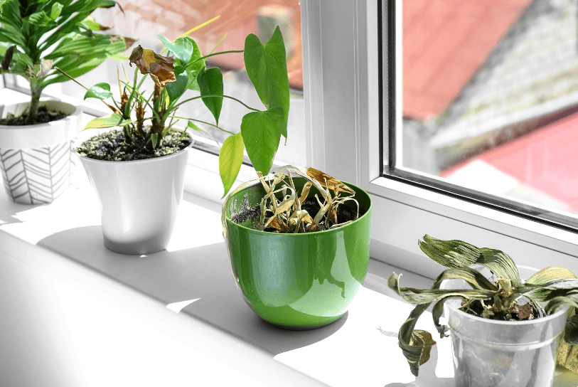 Tiền không vào nhà bẩn, phúc không dưỡng người dơ - Lười đến mấy cũng phải VỨT 4 thứ này đi!- Ảnh 4.