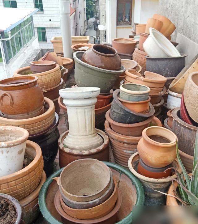 5 món đồ lãng phí nhất đời tôi từng mua- Ảnh 4.