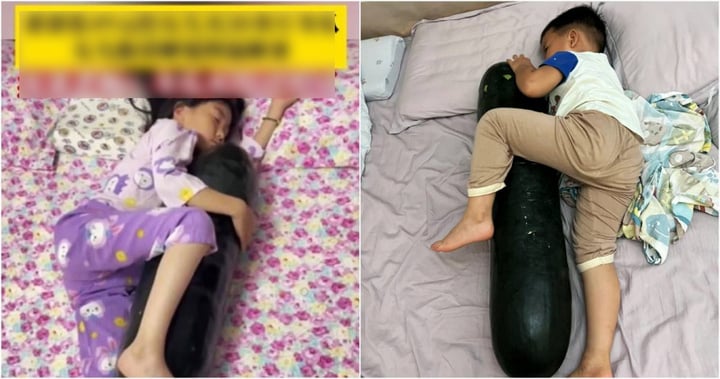 Vì sao trend ngủ với quả bí đao thay vì bật điều hòa lại "hot" ở Trung Quốc?- Ảnh 1. Vì sao trend ngủ với quả bí đao thay vì bật điều hòa lại "hot" ở Trung Quốc?- Ảnh 1.