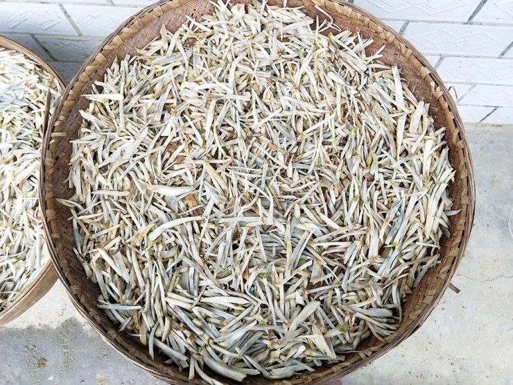 Củ cải "biến dạng" mà siêu năng suất, xưa là rau cứu đói, nay giúp "hái ra tiền"- Ảnh 3.