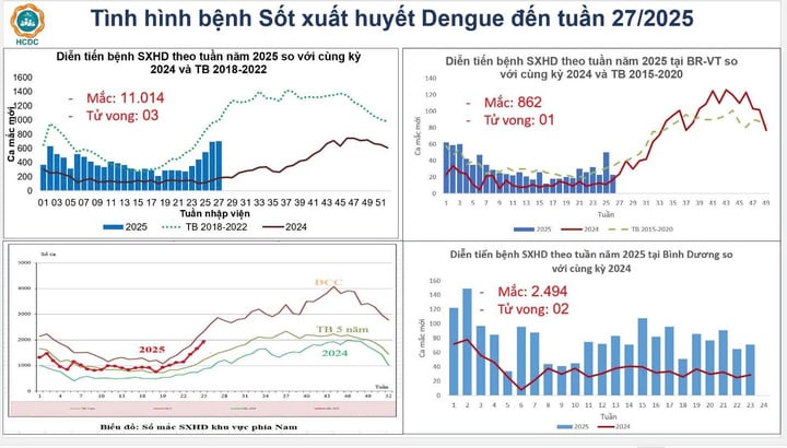 6 người tử vong vì sốt xuất huyết, TP.HCM tăng cường kiểm soát ổ dịch- Ảnh 1.