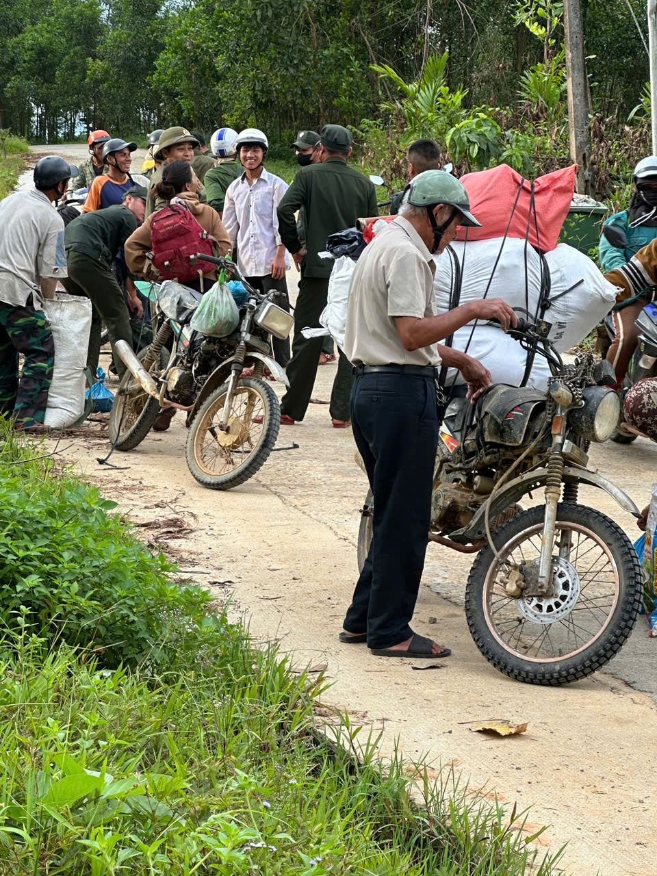 Cả ngàn người ở Đà Nẵng vào rừng nhặt thứ hạt rơi từ trên trời xuống, thu tiền triệu- Ảnh 3.