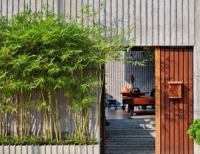 Ông bà dặn KHÔNG trồng cây này trước cửa, người khôn nghe lời, người dại chống đối!- Ảnh 3.