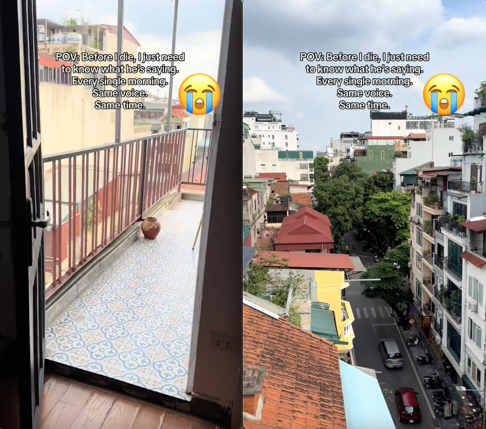 Âm thanh "bí ẩn" ở Việt Nam khiến khách Tây quyết tâm phải tìm ra manh mối trước khi "về với tổ tiên"- Ảnh 1.