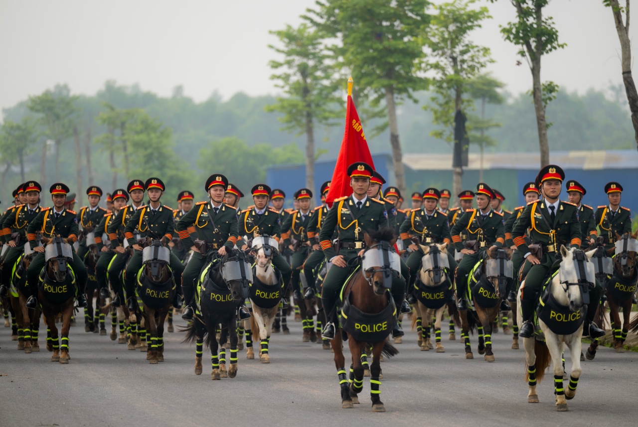 Những hình ảnh mới nhất của Út Ngáo – chú ngựa nổi tiếng mạng xã hội trong những đợt diễu binh- Ảnh 1.