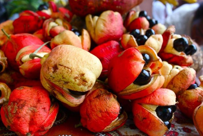Những thực phẩm nguy hiểm bậc nhất thế giới, cái số 2 ở Việt Nam có nhiều- Ảnh 1.