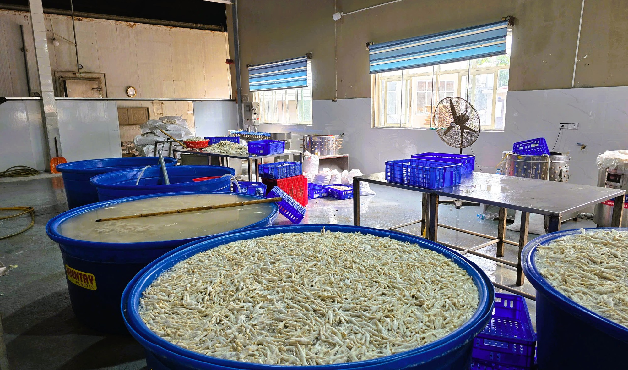 Phát hiện gần 7 tấn chân gà ngâm chất tẩy trắng- Ảnh 1.