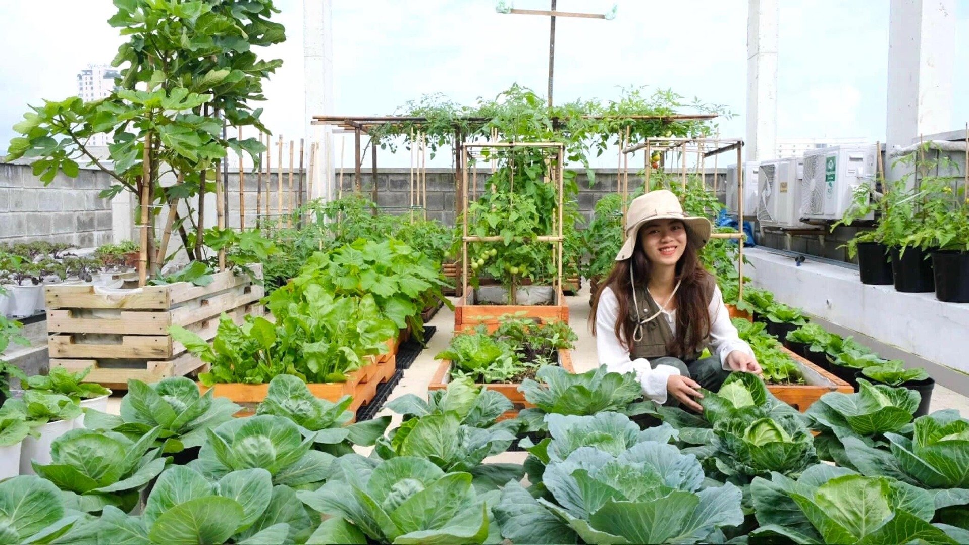 Mê mẩn khu vườn sân thượng đẹp 'như vẽ bằng AI' của mẹ đảm Đà Nẵng- Ảnh 2.