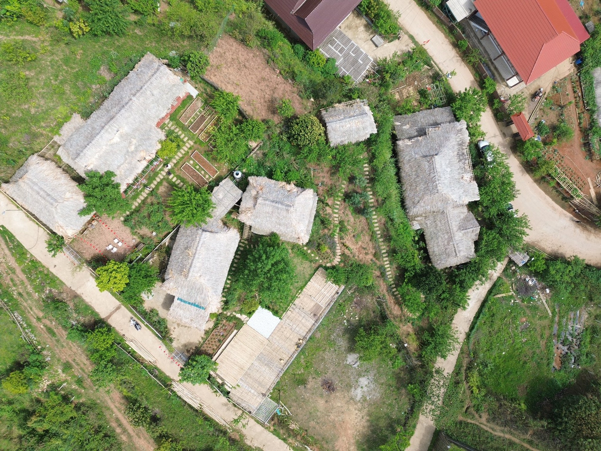 Bật khóc khi nghe giá thuê 3.000m2 đất khi về núi sống sau 10 năm bôn ba Hà Nội- Ảnh 2.