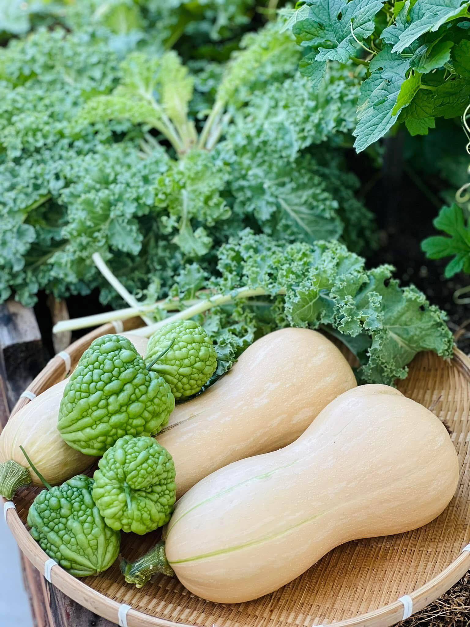 Mê mẩn khu vườn sân thượng đẹp 'như vẽ bằng AI' của mẹ đảm Đà Nẵng- Ảnh 30.