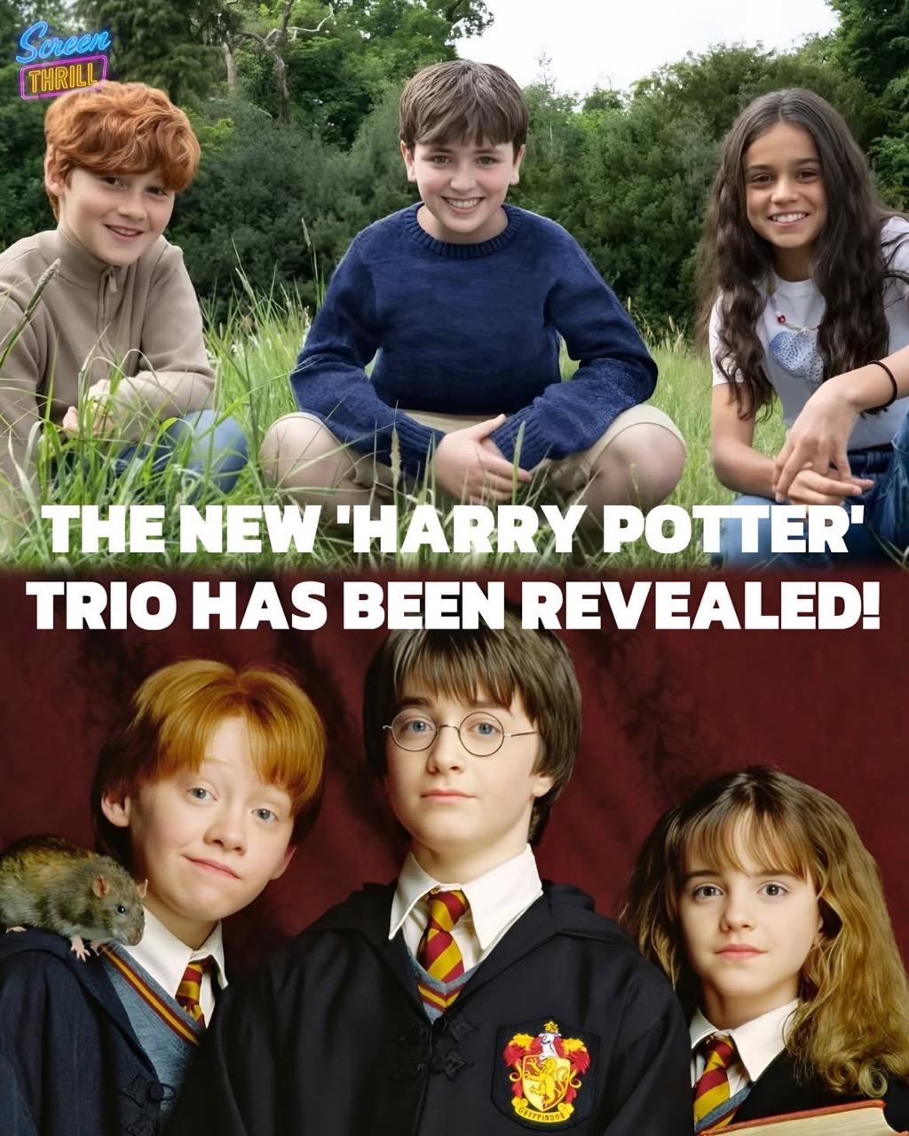 Lộ diện Harry Potter phiên bản mới: Đẹp gấp trăm lần bản gốc, xé truyện bước ra là đây chứ đâu- Ảnh 6.