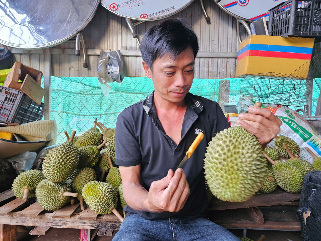 'Vua' của các loại sầu riêng bị chê, rớt giá thảm- Ảnh 3.