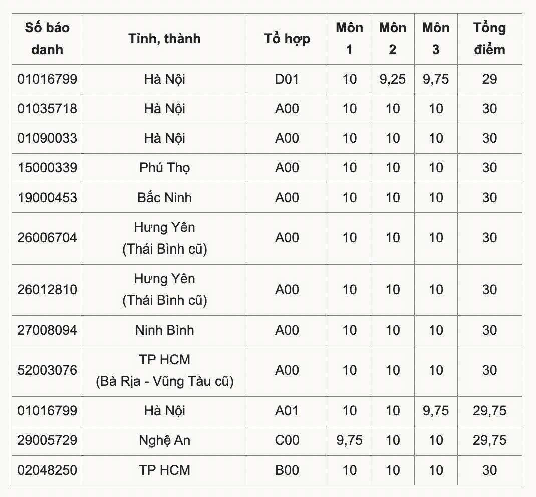 Chân dung thủ khoa khối A của TP HCM đạt điểm tuyệt đối 30/30- Ảnh 2.