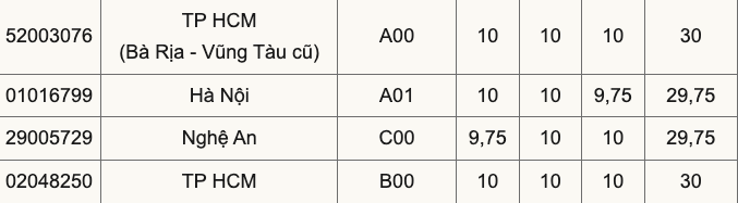 Cả nước có 9 thủ khoa đạt điểm tuyệt đối 30/30- Ảnh 3.