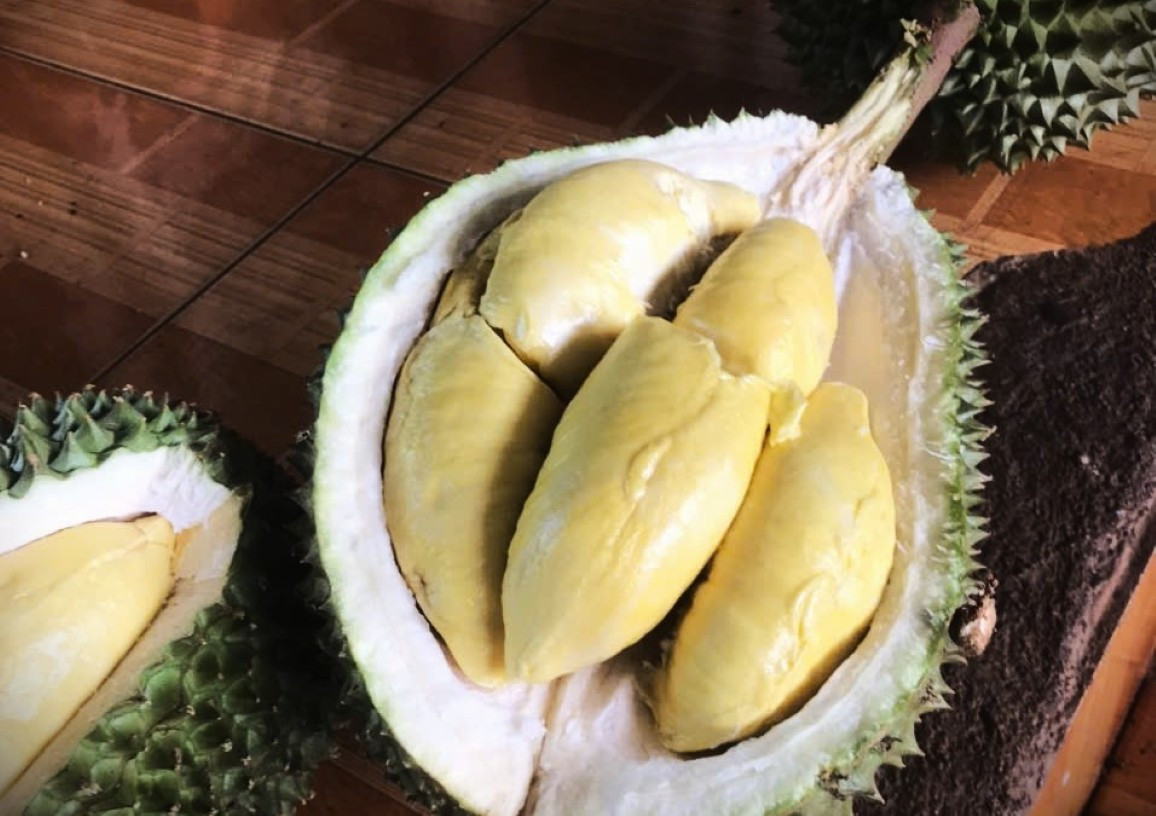 'Vua' của các loại sầu riêng bị chê, rớt giá thảm- Ảnh 1.