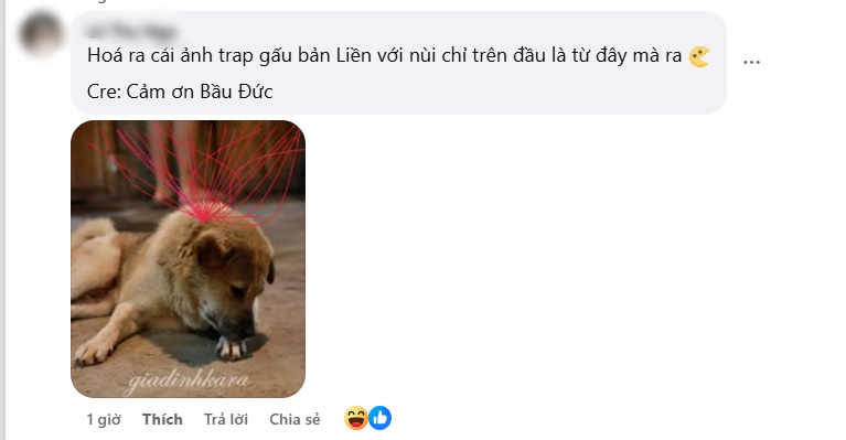 Sợi chỉ đỏ là gì mà viral khắp MXH Việt, loạt siêu sao cũng 