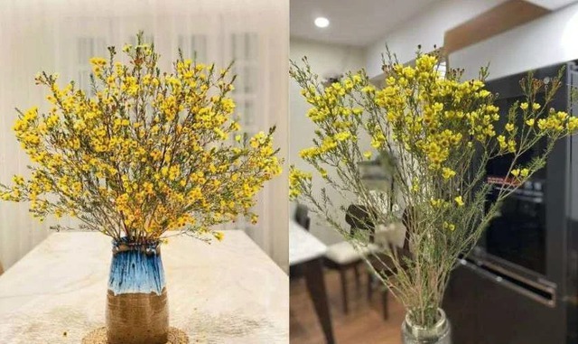 Loài hoa đánh thức tài lộc, cắm trên bàn thờ 
