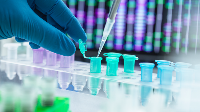 DNA được sử dụng như thế nào để xác định nạn nhân trong các thảm họa hàng loạt?- Ảnh 2.