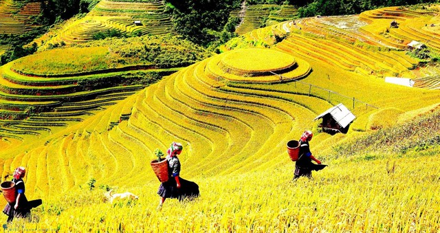 "Ngôi làng trên mây" của Việt Nam vừa lọt top 6 điểm đến cao nguyên ấn tượng nhất châu Á- Ảnh 4.