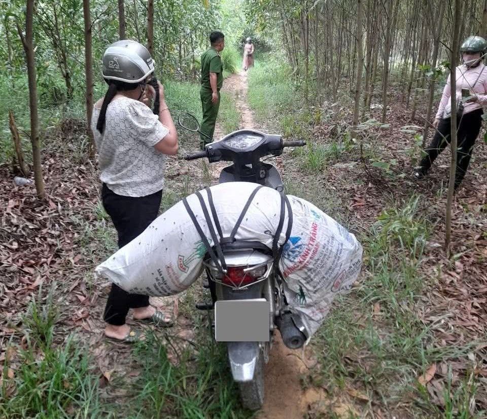 Kinh hãi cảnh tượng heo bệnh chết bị vứt bỏ tràn lan ở Đà Nẵng, Quảng Ngãi- Ảnh 7.
