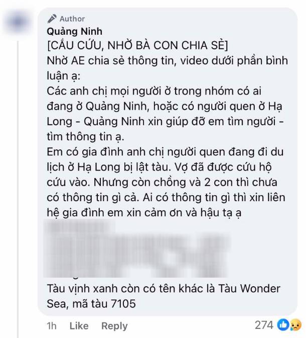Vụ lật tàu ở Hạ Long: Những dòng tin tìm người thân nghẹn ngào lan khắp mạng xã hội- Ảnh 4.
