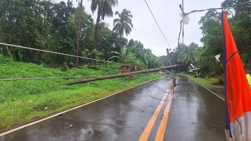 Những hình ảnh ban đầu cho thấy sức tàn phá của bão Wipha: Gió giật lên tới 125km/h, nhiều cảnh báo khẩn đã được đưa ra- Ảnh 3.