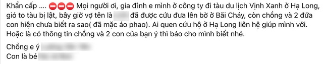 Gia đình Hà Nội đi trên tàu bị lật, 3 người mất liên lạc: Đi tiếp Hạ Long sau chuyến du lịch cùng công ty- Ảnh 1.