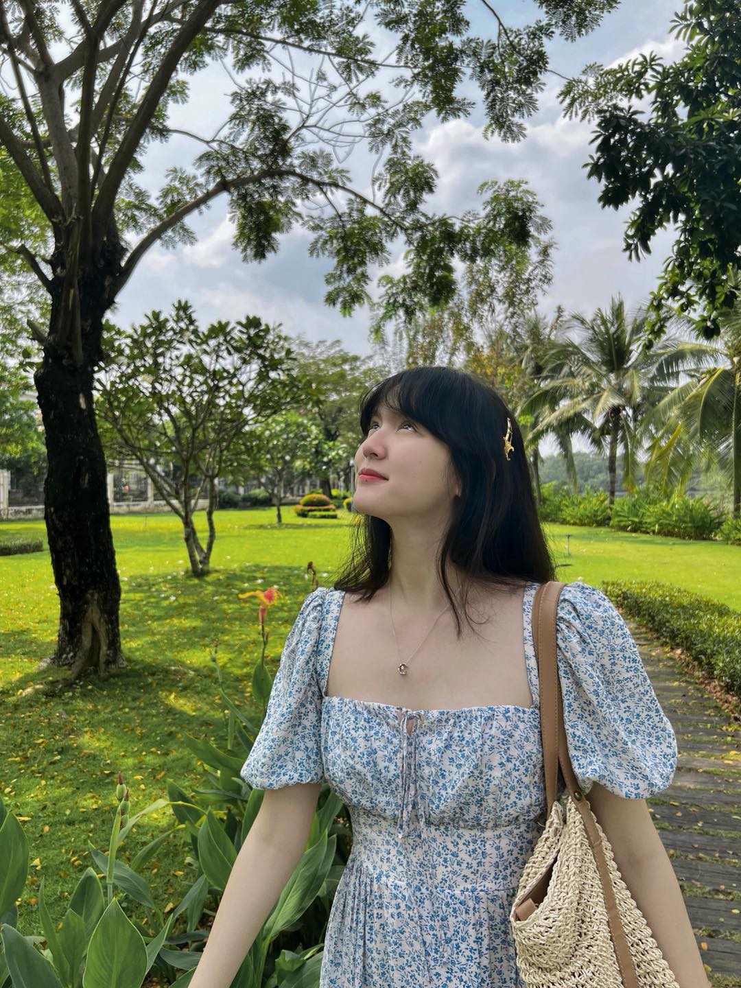 Hải Tú 