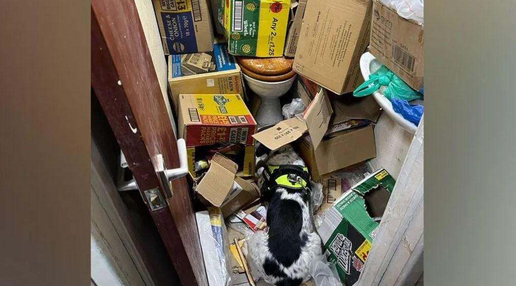 Kiểm tra bí mật 1 cửa hàng, phát hiện lượng lớn hàng giả, hàng bất hợp pháp dưới toilet: Tòa án vào cuộc- Ảnh 2.