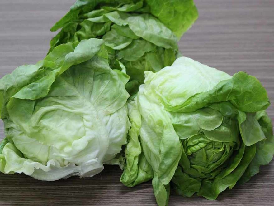 4 dấu hiệu vạch trần xà lách 