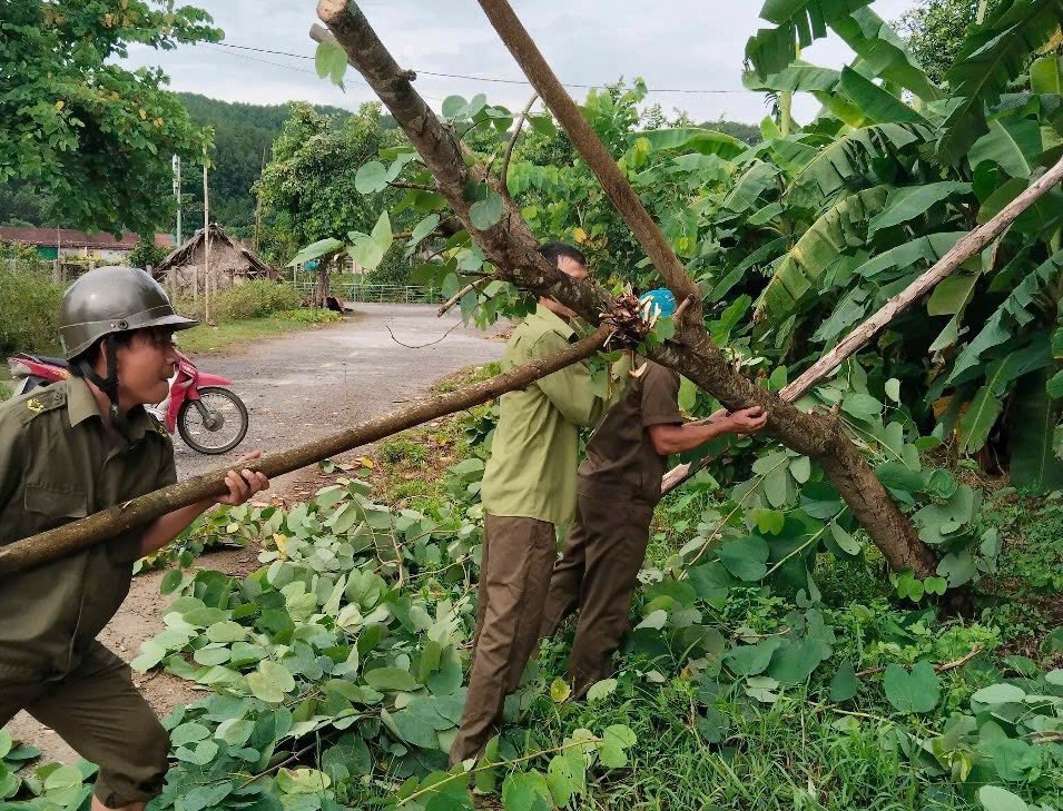 Mưa giông khiến nhiều tàu thuyền ở Hà Tĩnh bị sóng đánh chìm- Ảnh 11.