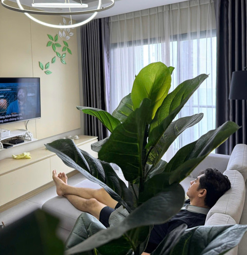 Thông tin mới về diễn viên Huỳnh Anh Tuấn sau đột quỵ- Ảnh 4.