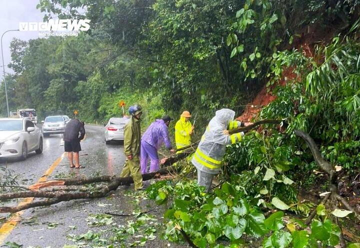 Dông lốc khiến cây rừng ngã đè ô tô đi đường, đèo Bảo Lộc ách tắc cục bộ- Ảnh 2.
