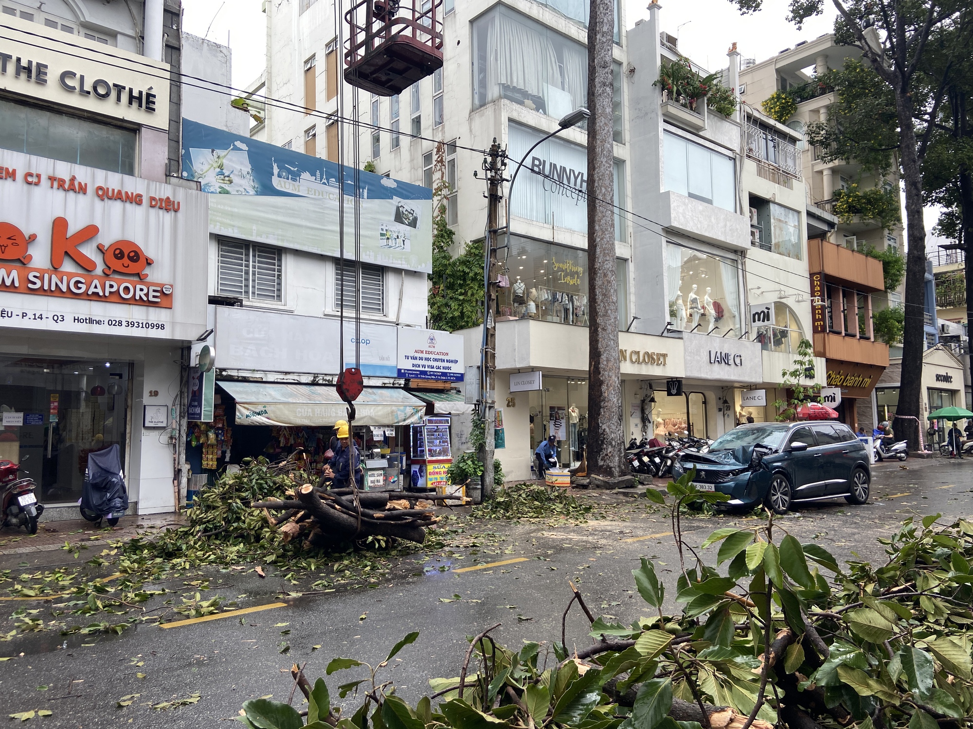 TP.HCM: Mưa lớn kèm dông lốc bất ngờ ập đến trưa 20/7, nhiều cây xanh gãy đổ đè bẹp dúm ô tô- Ảnh 6.
