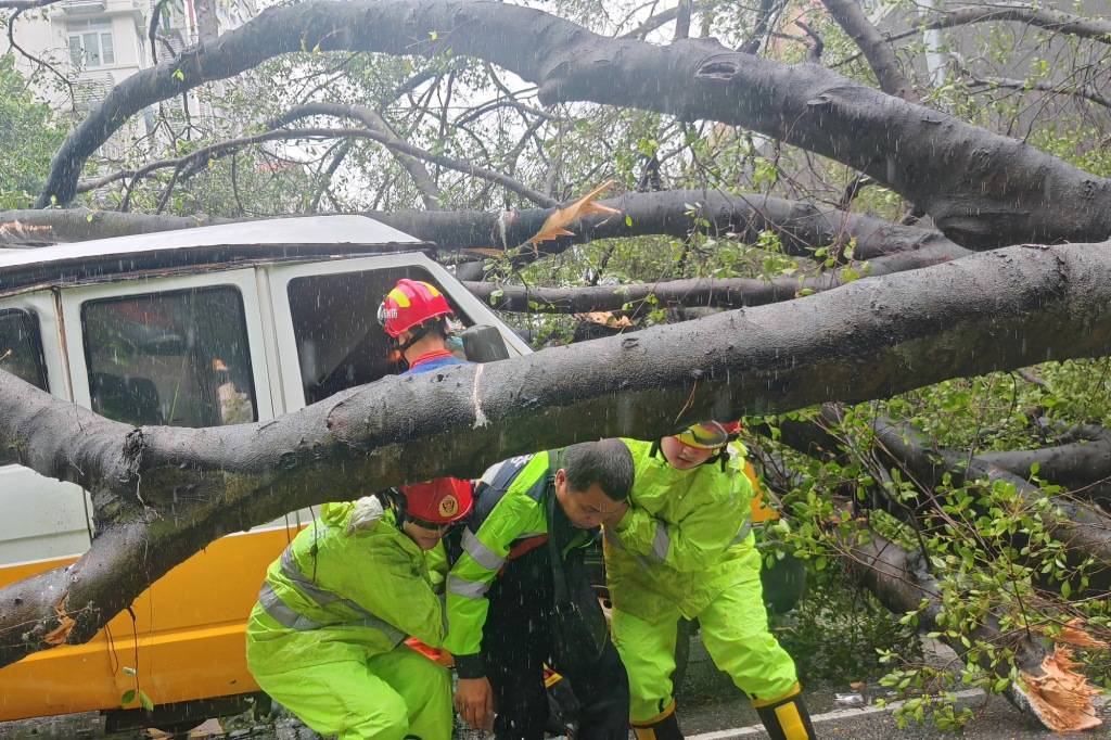 Đây là mức độ tàn phá của bão Wipha tại Trung Quốc: Mưa xối xả, cây bật gốc và cảnh báo nguy cơ tiếp diễn- Ảnh 5.