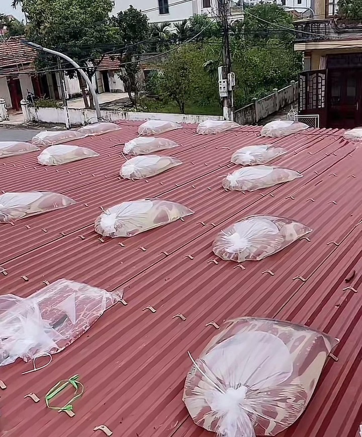 Trước giờ bão Wipha đổ bộ: Người dân Hạ Long buộc mái nhà vào xe tải, MXH nửa phục nửa hoang mang- Ảnh 4.