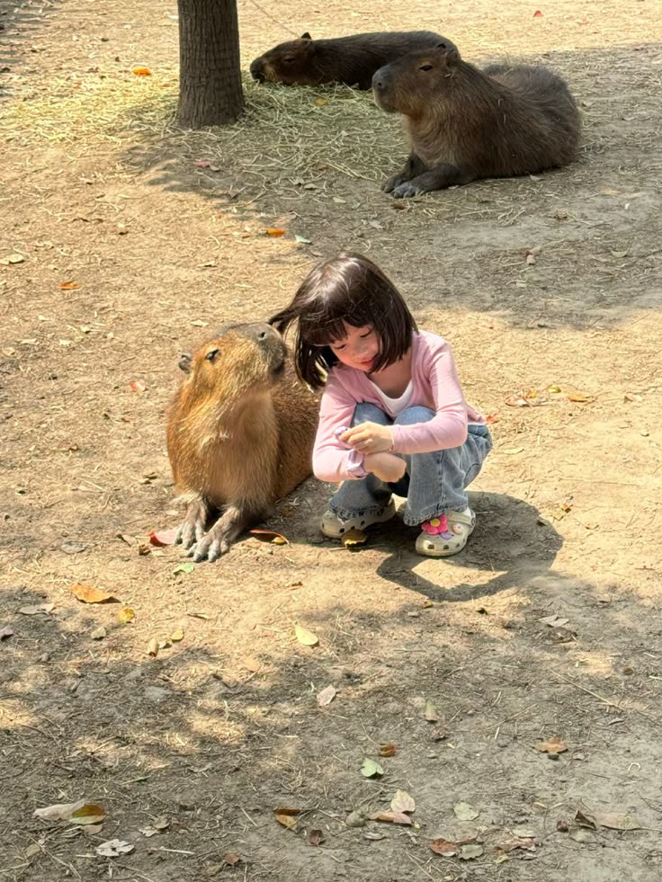 Cho trẻ xê dịch sớm: Không chỉ là chuyện "du lịch đổi gió" mà còn là cách giúp con phát triển cả IQ lẫn EQ- Ảnh 1.