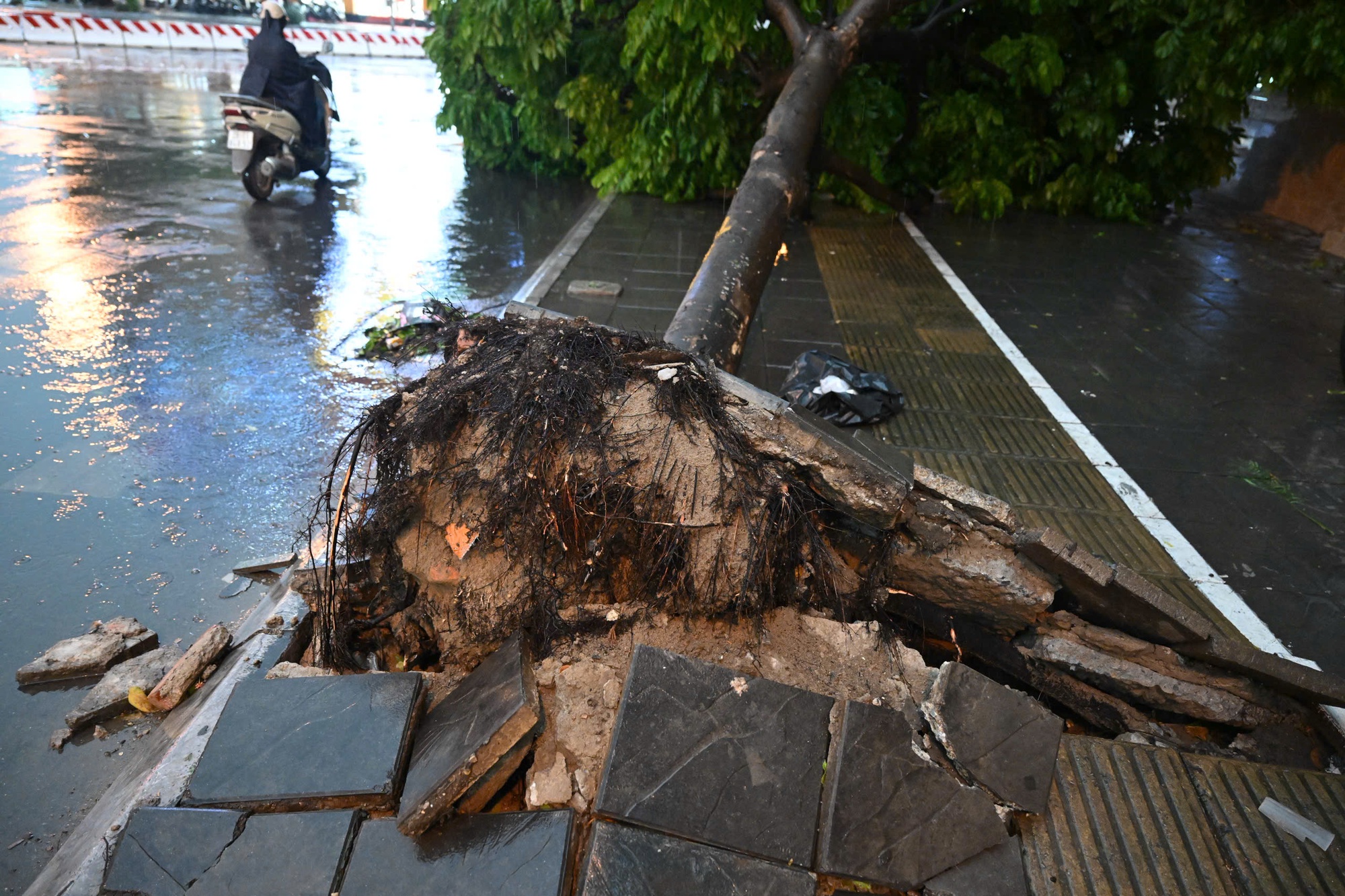 30 phút trở tay không kịp, chủ 