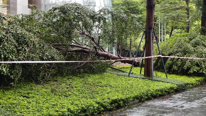 Bão Wipha càn quét Trung Quốc, 'tường mây khổng lồ' xuất hiện- Ảnh 3. Bão Wipha càn quét Trung Quốc, 'tường mây khổng lồ' xuất hiện- Ảnh 3.