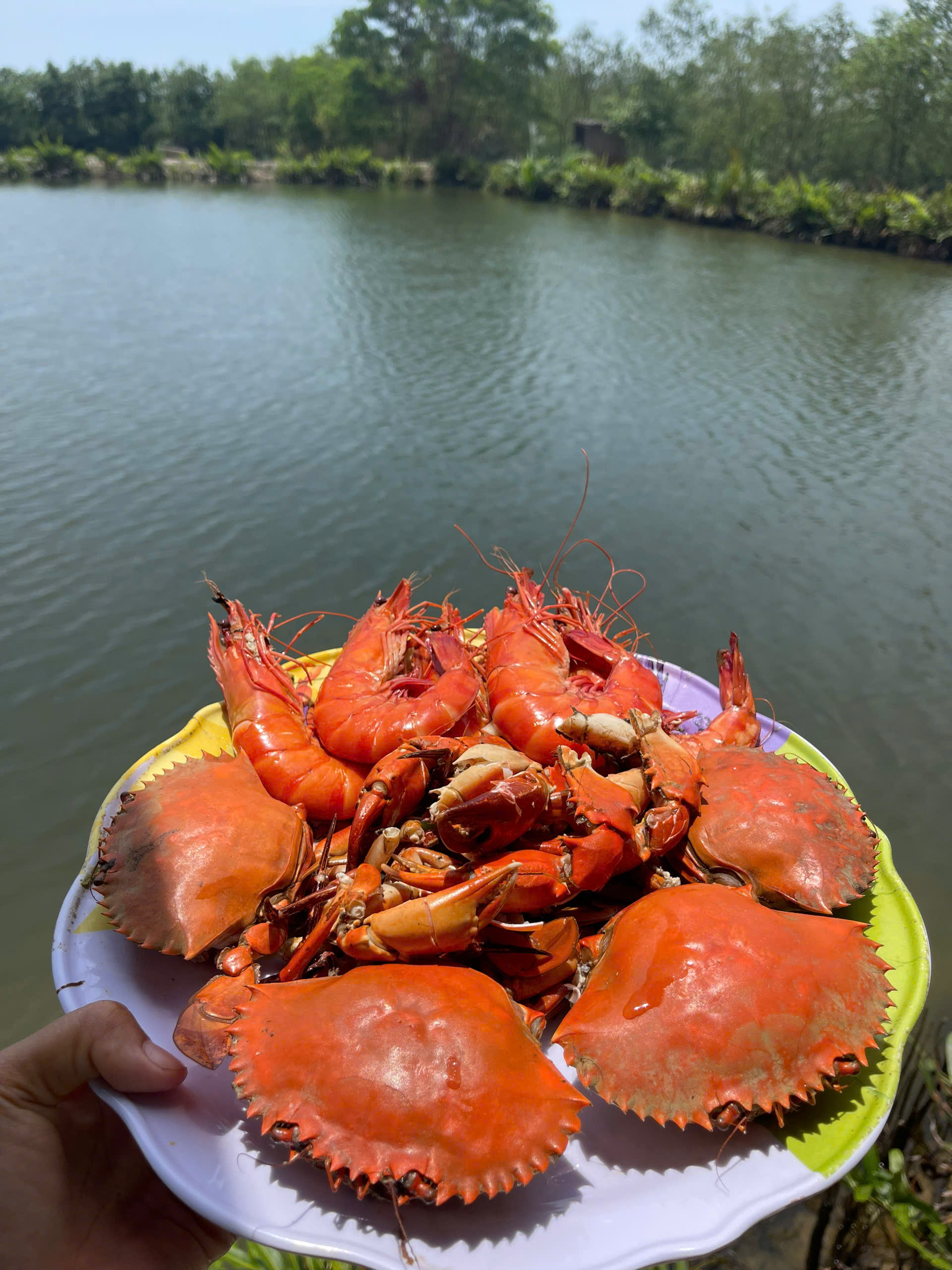 Gặp người phụ nữ 