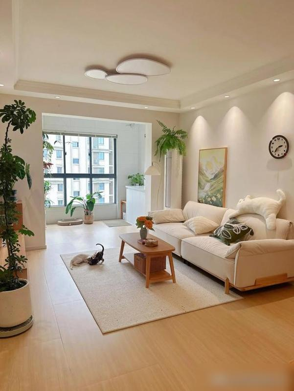 Nhà nhỏ khiến nhiều người trầm trồ: Sống tối giản, không sang chảnh mà vẫn toát lên vẻ “giàu có”- Ảnh 1.