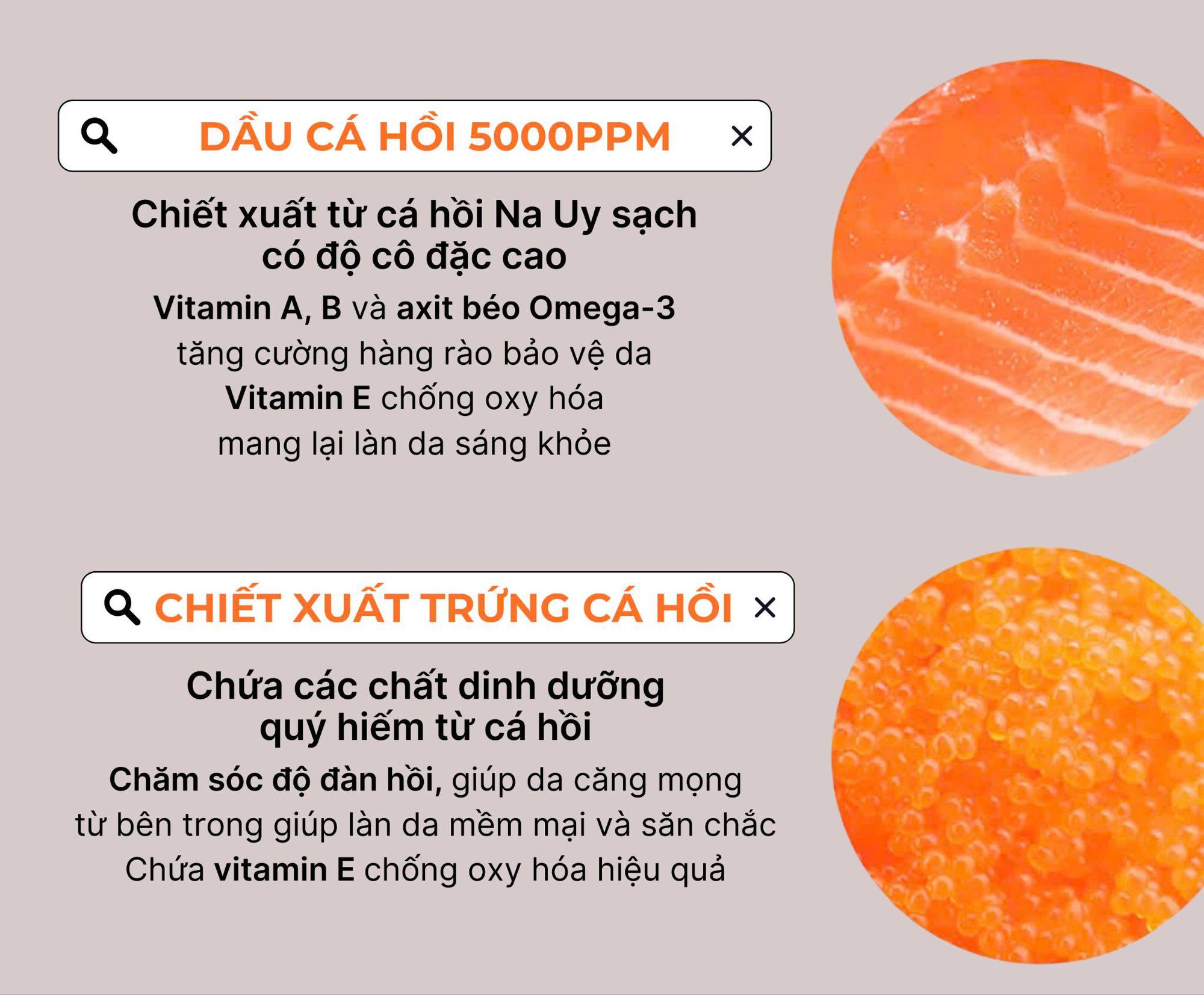 Kem cá hồi - Cơn sốt 9 năm chưa hạ nhiệt- Ảnh 2.