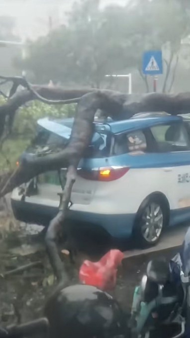 Bão Wipha càn quét Trung Quốc, 'tường mây khổng lồ' xuất hiện- Ảnh 11. Bão Wipha càn quét Trung Quốc, 'tường mây khổng lồ' xuất hiện- Ảnh 11.